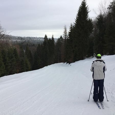 Pokoje Goscinne Vida Krynica Zdroj Eksteriør billede