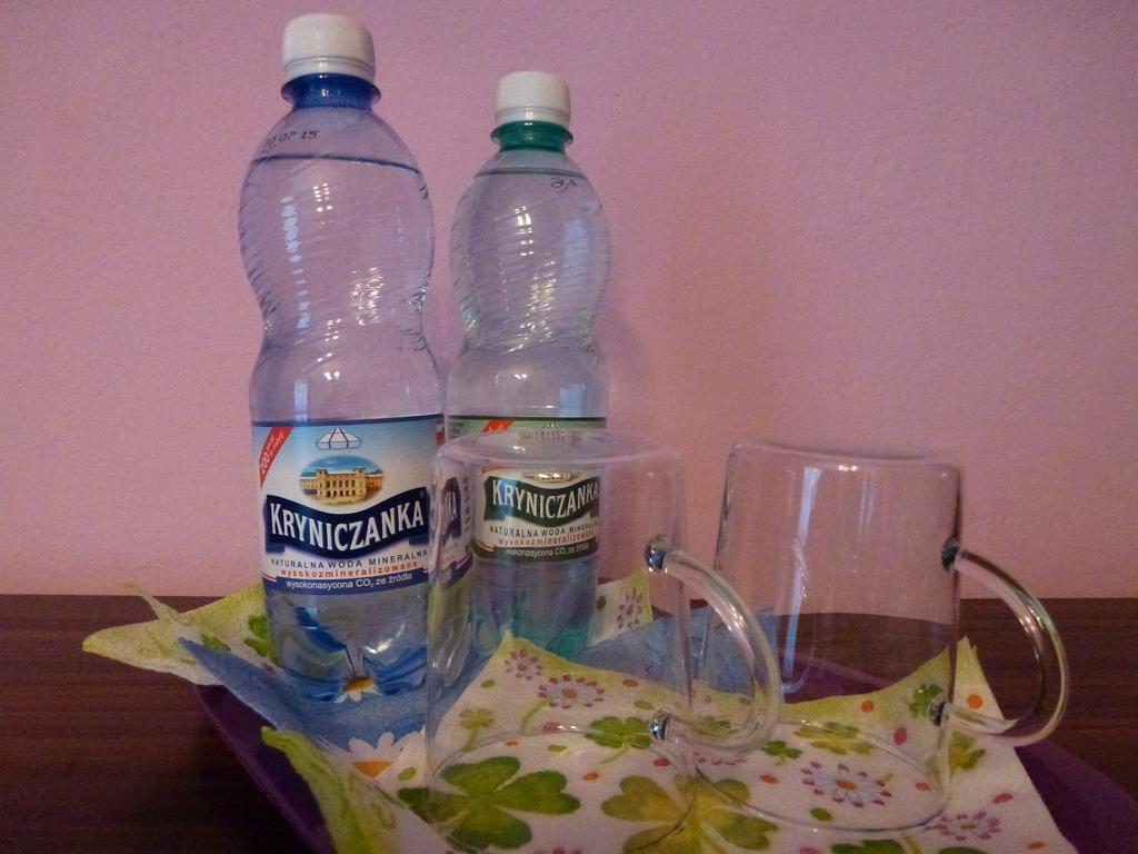 Pokoje Goscinne Vida Krynica Zdroj Værelse billede