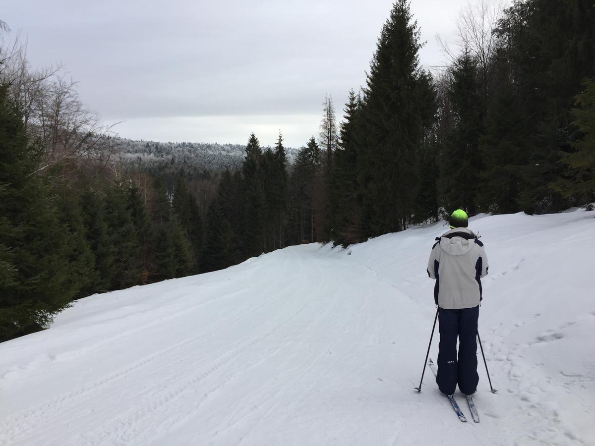 Pokoje Goscinne Vida Krynica Zdroj Eksteriør billede