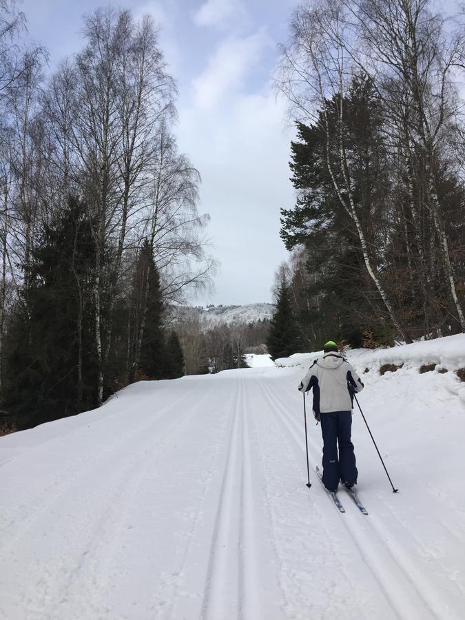 Pokoje Goscinne Vida Krynica Zdroj Eksteriør billede